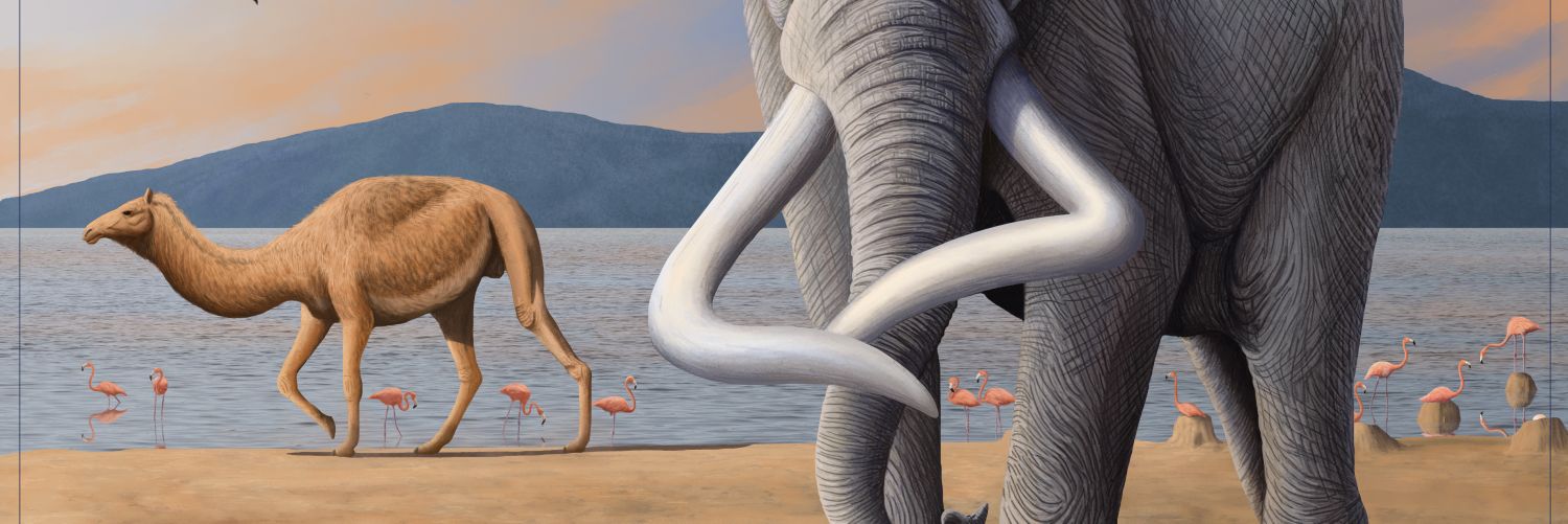 LADAlbarran2001 banner