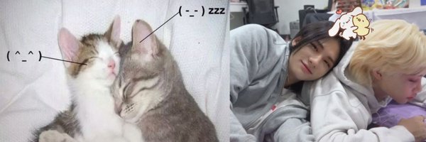 hyunlixzip Profile Banner