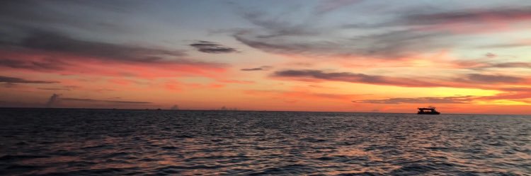 _MontanaE's profile banner image