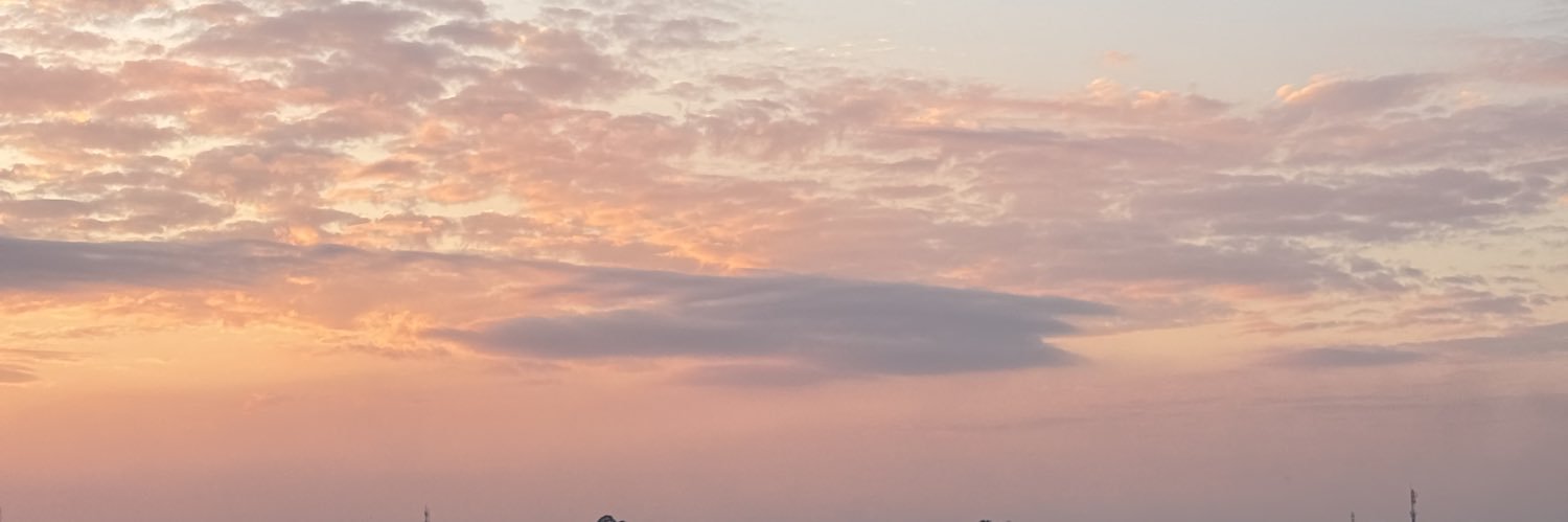 hana.anyp 🧚🏻‍♀️ banner