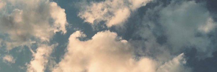 Lau_castaneda's profile banner image