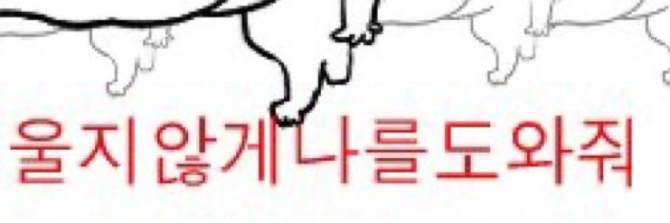 미룬이 banner