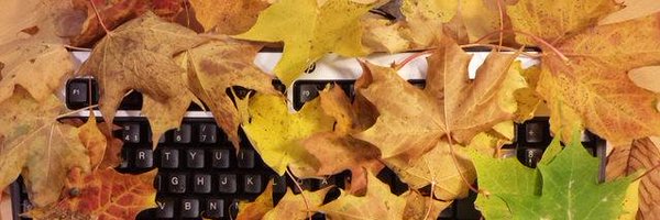 Behrang81 Profile Banner
