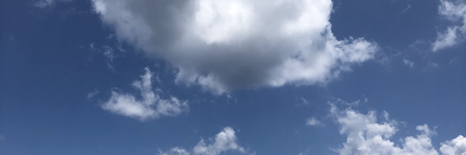 Lcreina's profile banner image
