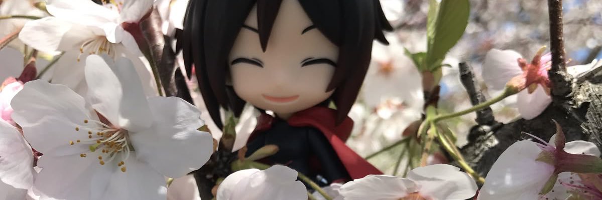 six ❄️🎀 banner