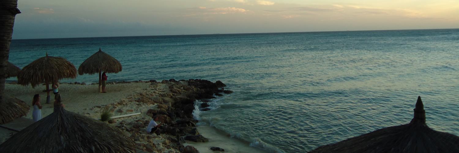 daysespinosa's profile banner image