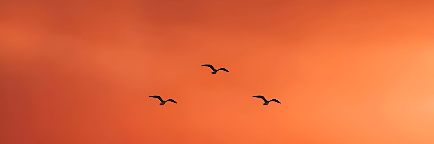 Samirasharifi02's profile banner image