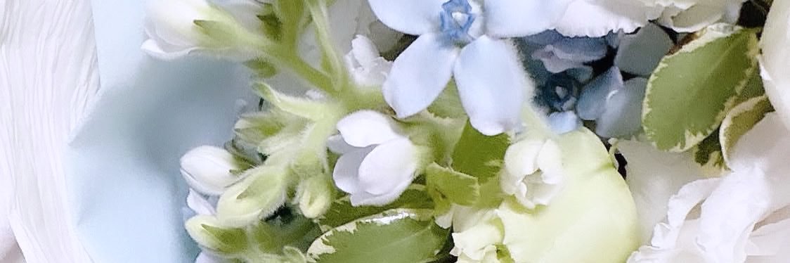 𝑀𝑖𝑠𝑜 banner
