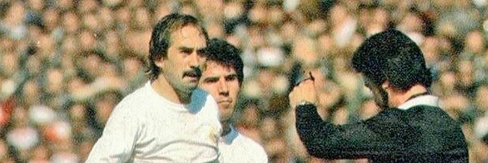 raulseibane's profile banner image