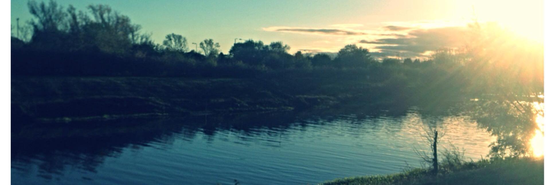 Ishita Gandhi banner