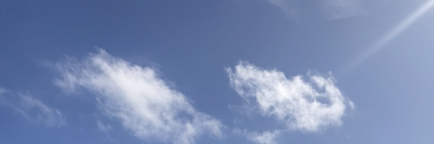 ClaireLeicht's profile banner image