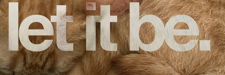 miniyoomi's profile banner image