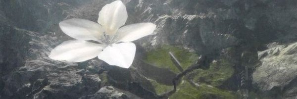 mimiimimi00 Profile Banner