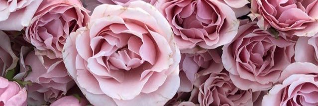 Ivana_Requena's profile banner image