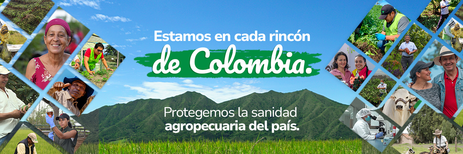 ICACOLOMBIA's profile banner image