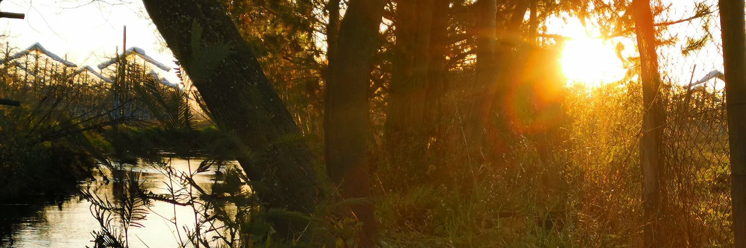 SrAldrich_'s profile banner image