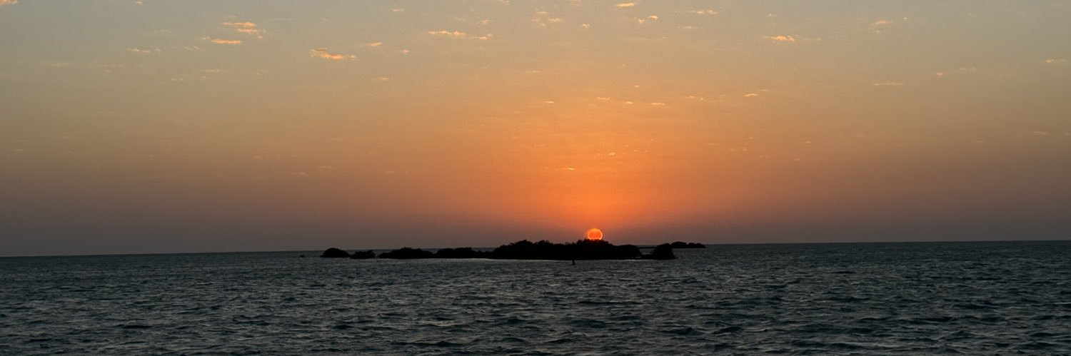 11_inp's profile banner image