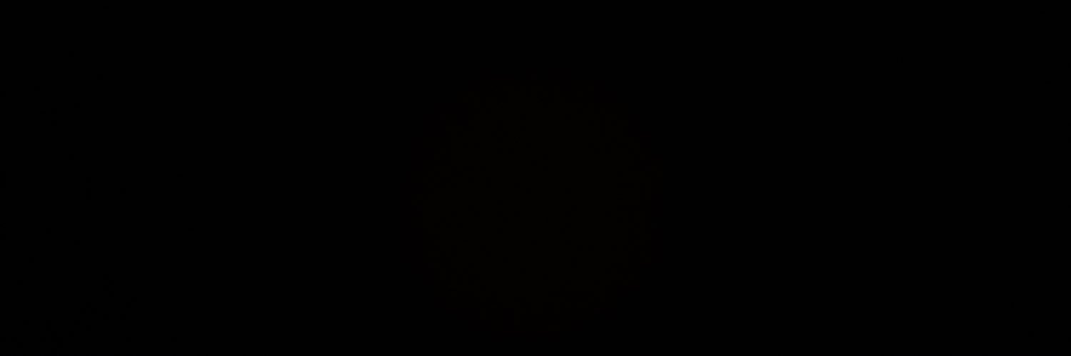 salwetsound's profile banner image