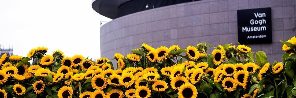 nanezmj's profile banner image