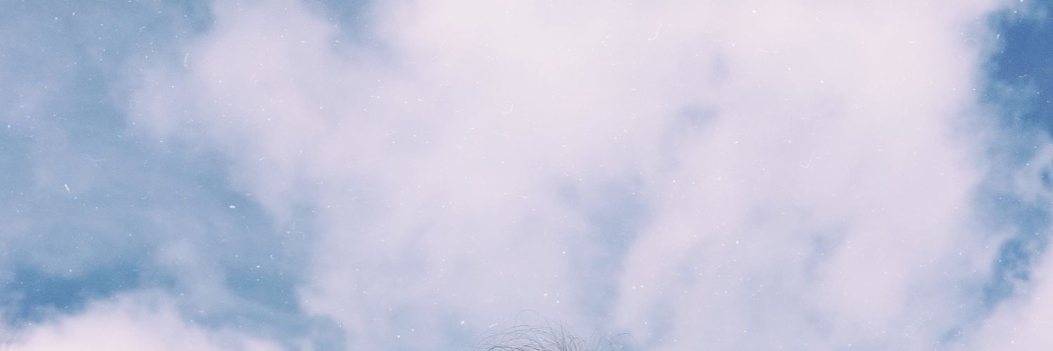 xSari3l's profile banner image