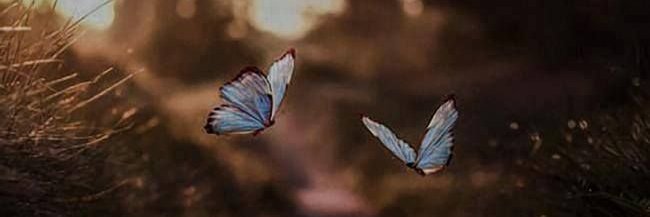leratomolobye's profile banner image
