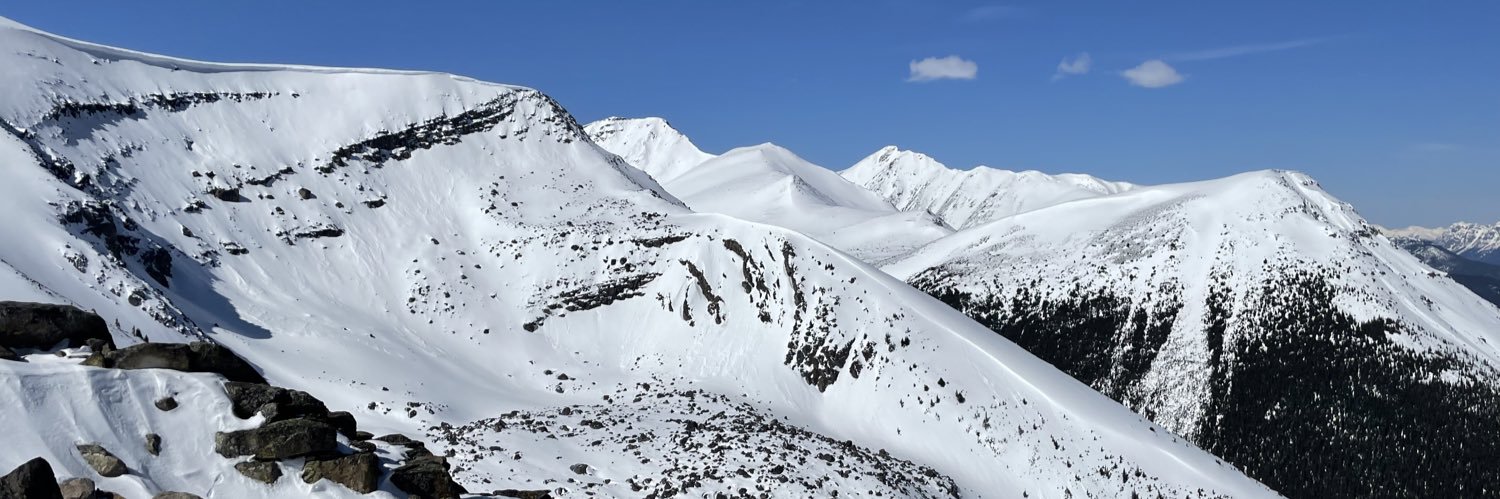 meaculpatea's profile banner image