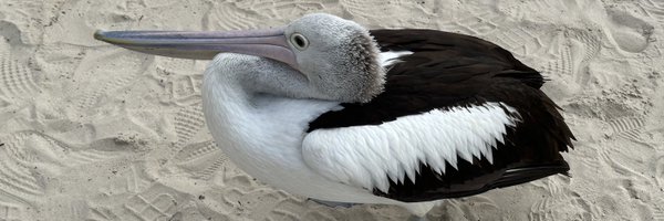 easystick43 Profile Banner