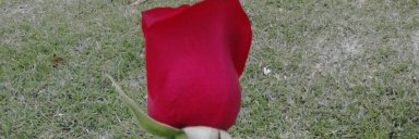 TatiiFontechaC's profile banner image