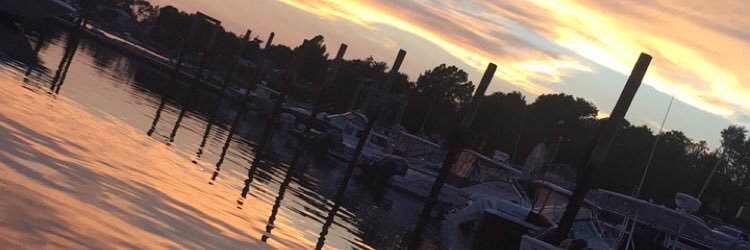 MadyMccarthy's profile banner image