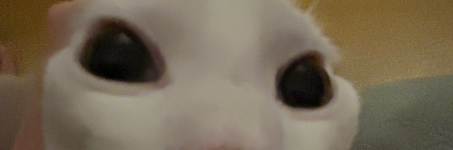 K Sera Sera banner