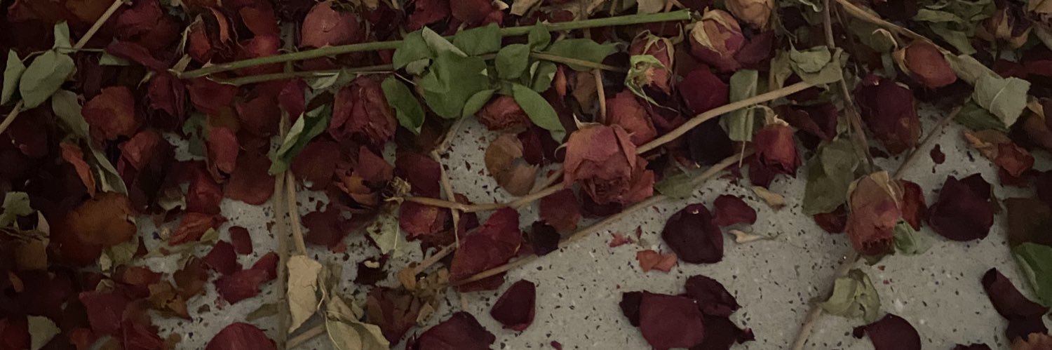 CANTST0PSPRING's profile banner image