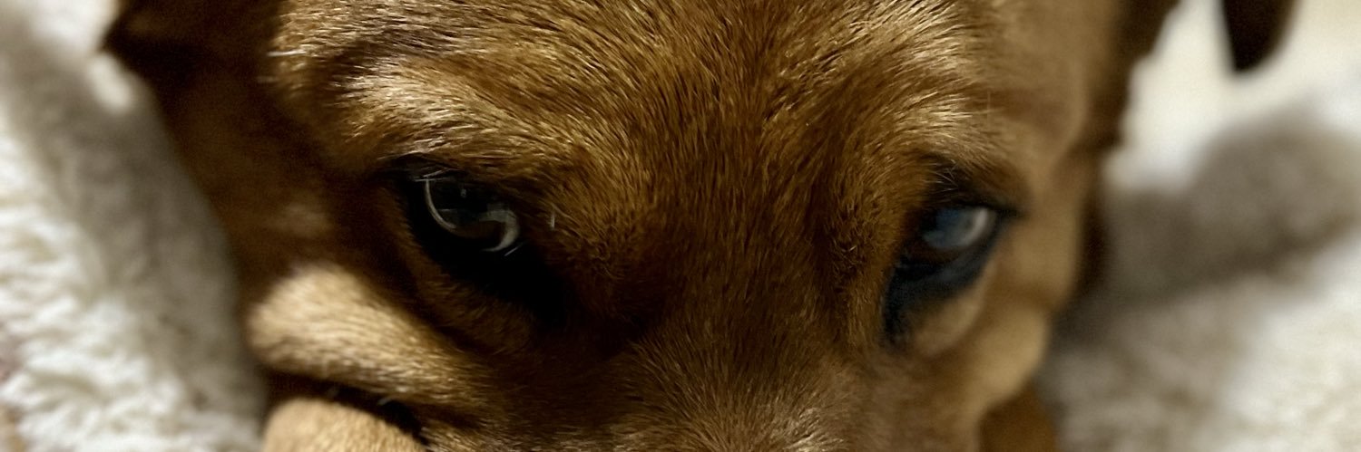 Danielariascosh's profile banner image