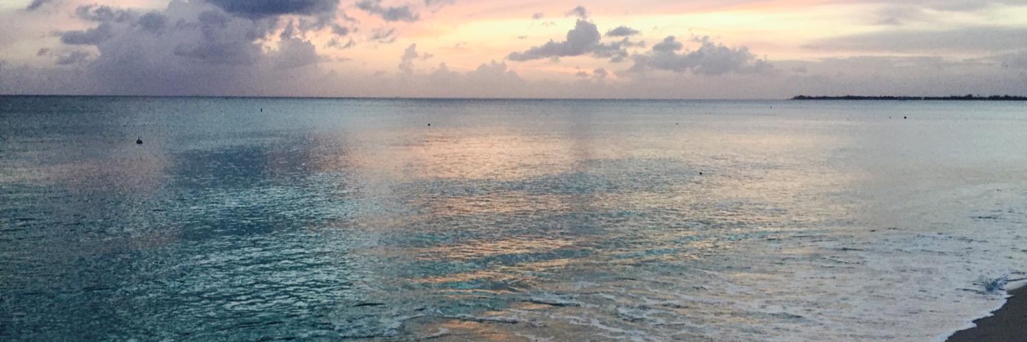 Steve Heilman banner