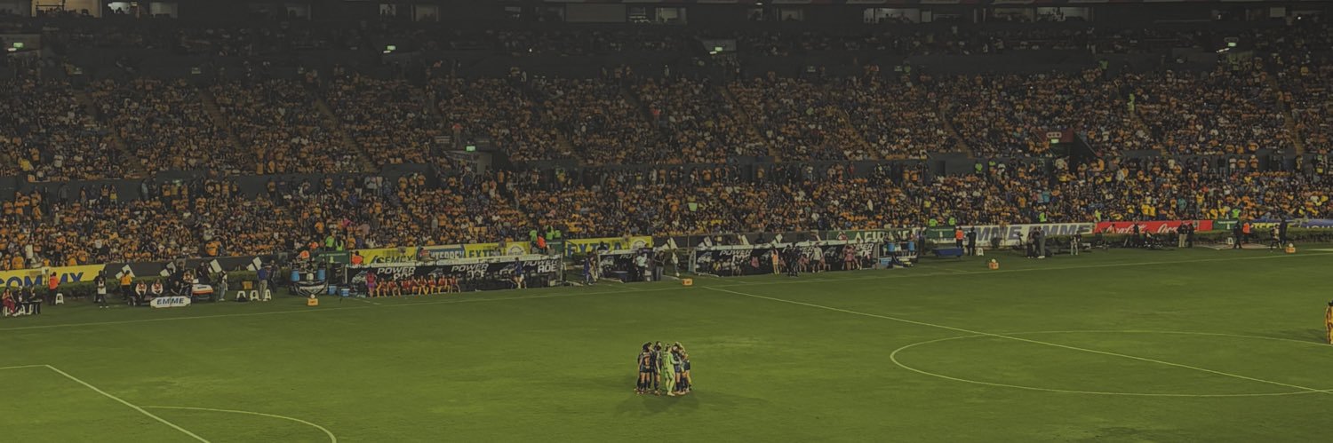 Lizbeth Sthepania banner