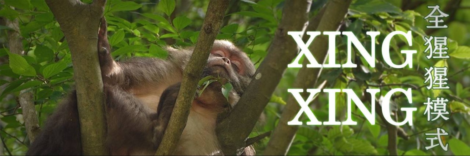 XingXingBNB's profile banner image