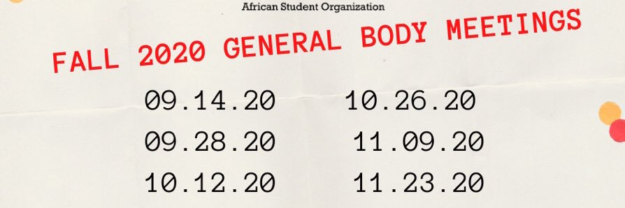 African Student Org. banner