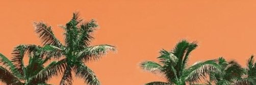 DARI ODMAN 🟠 banner