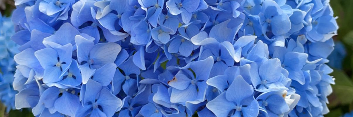 OrdinaryGamer1's profile banner image