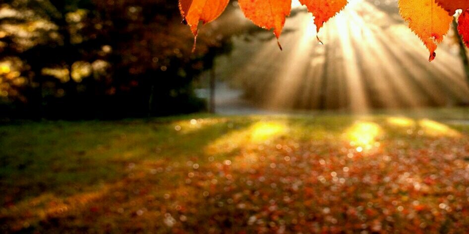 divinejyot's profile banner image
