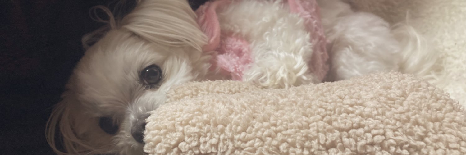 ポンデあめ banner