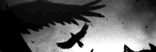 KingKcbra's profile banner image