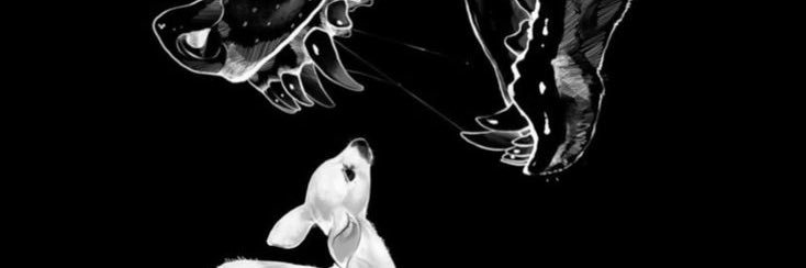 Sey banner