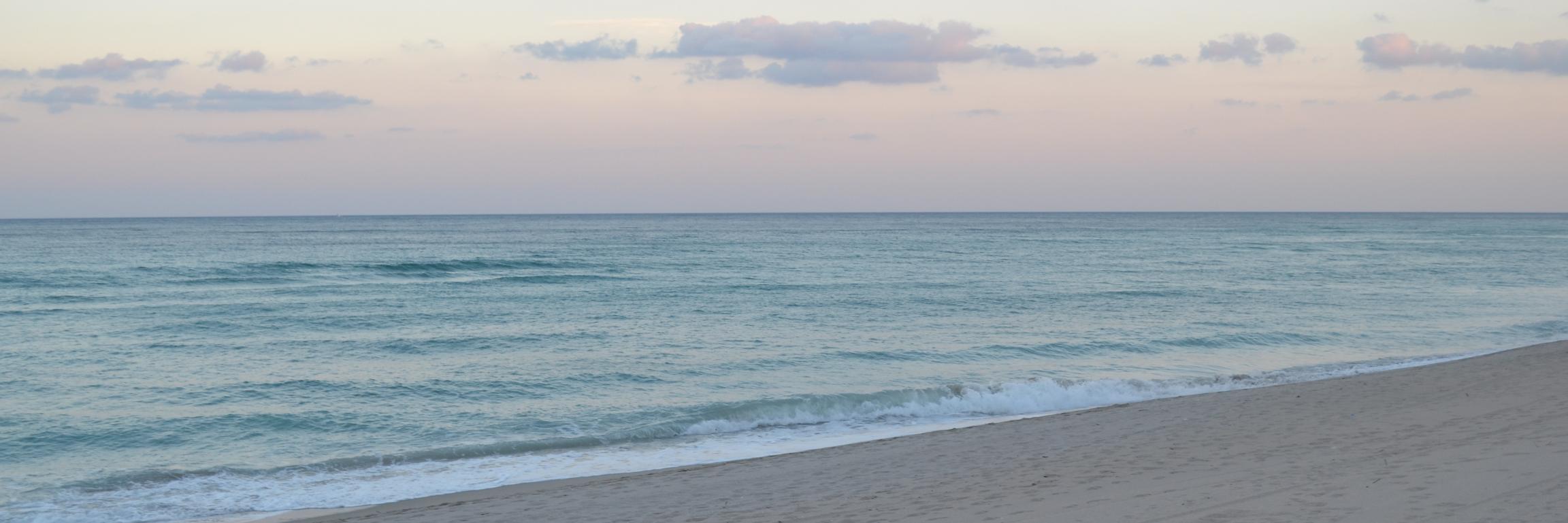 melimicolini's profile banner image