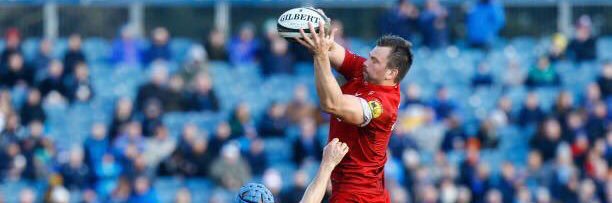 David Bulbring banner