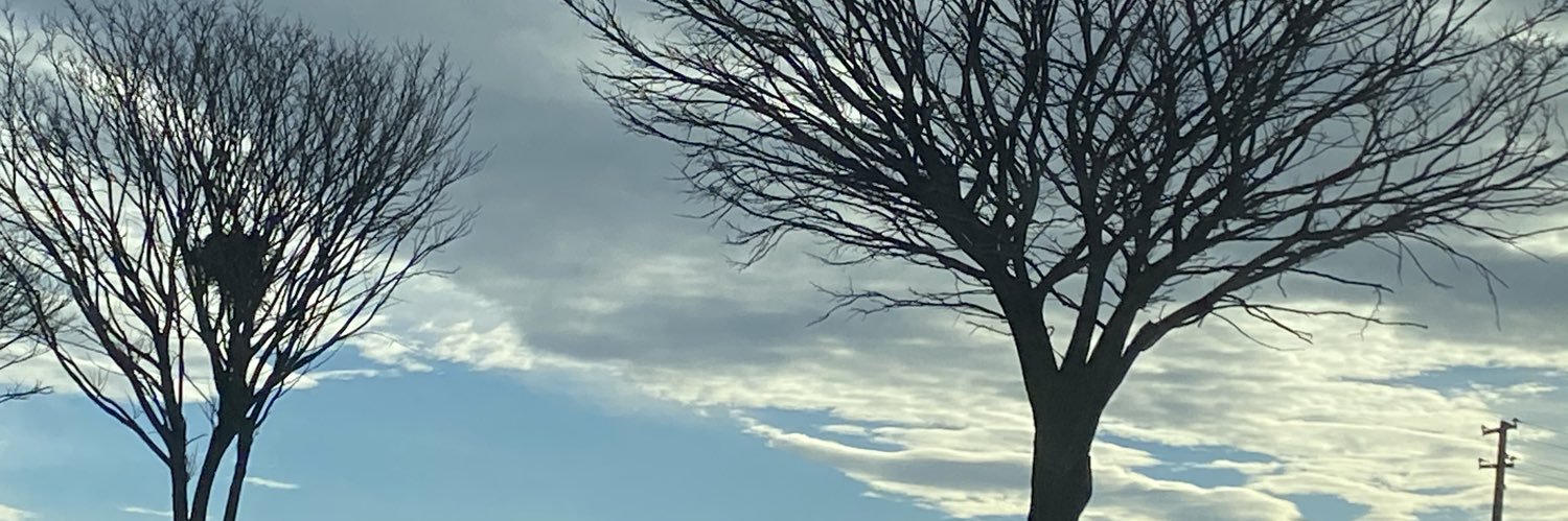 tcoskun's profile banner image