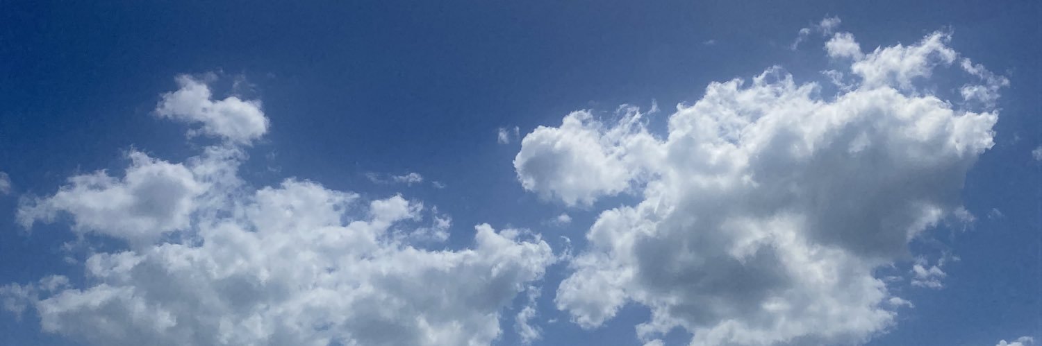 chloefeld's profile banner image
