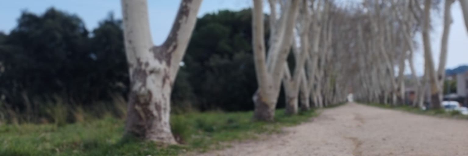 TarresMarc's profile banner image