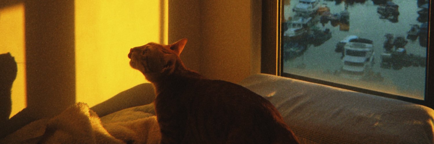 𝑫𝑬𝑨𝑹 banner