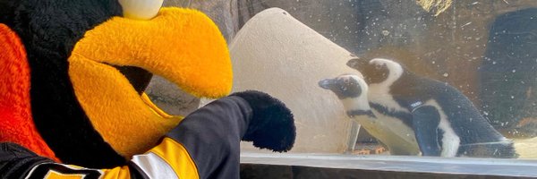 PensSquared Profile Banner