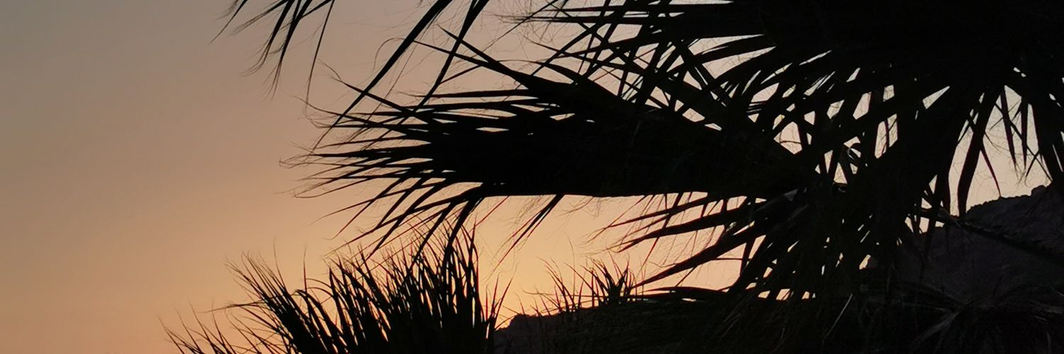 Paguz banner